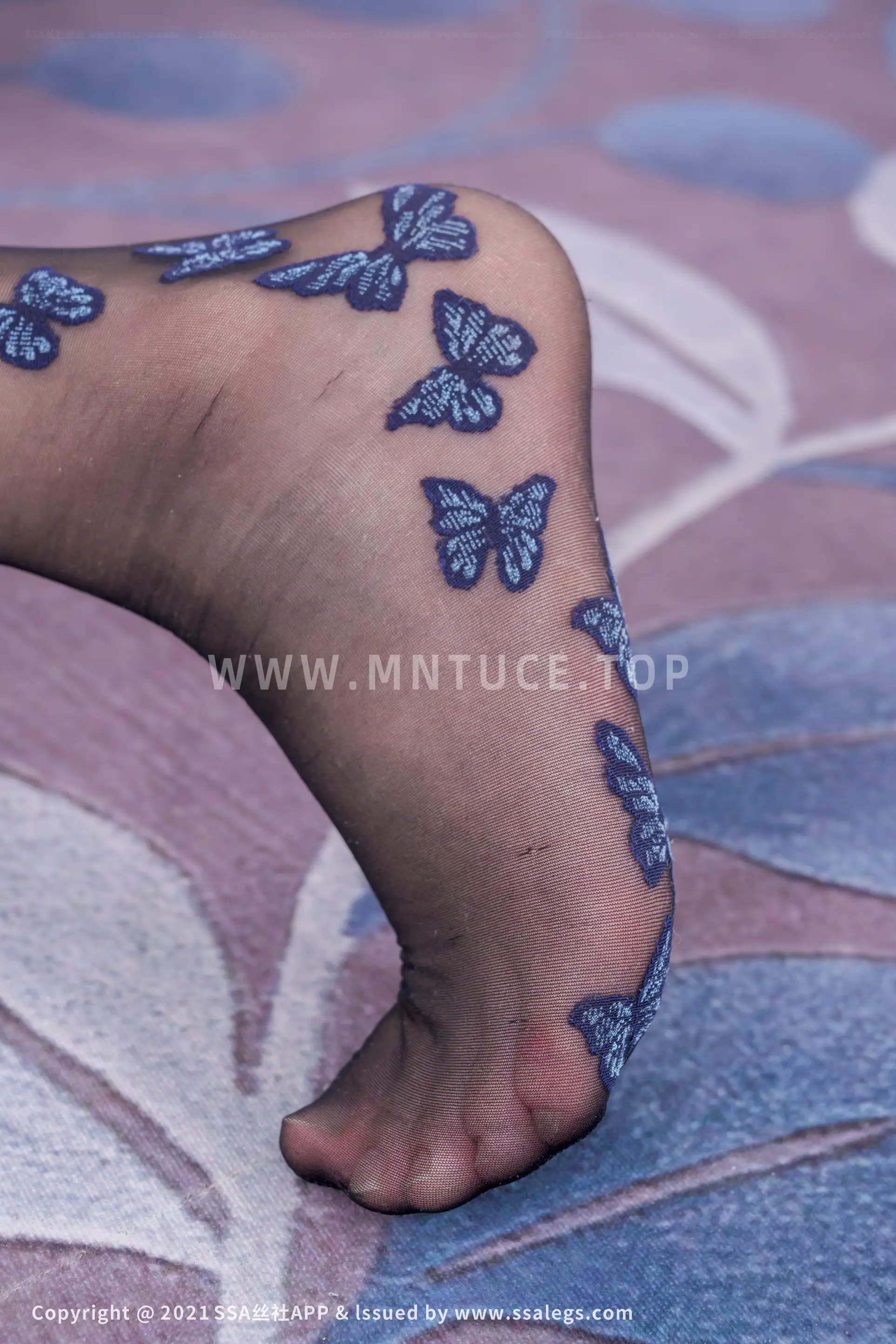 [Mzsock] NO.773 Polish butterfly pattern stockings with plain legs (Part 2) silk club#[112P]-48